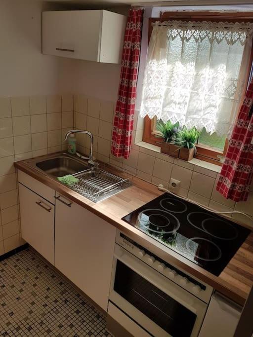 Idyllische Kleine Ferienwohnung Im Schwarzwald Friedenweiler Dış mekan fotoğraf